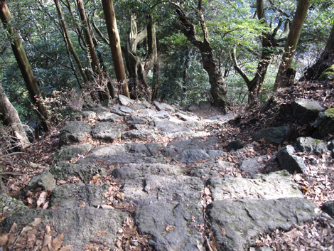 20151228hike (331)